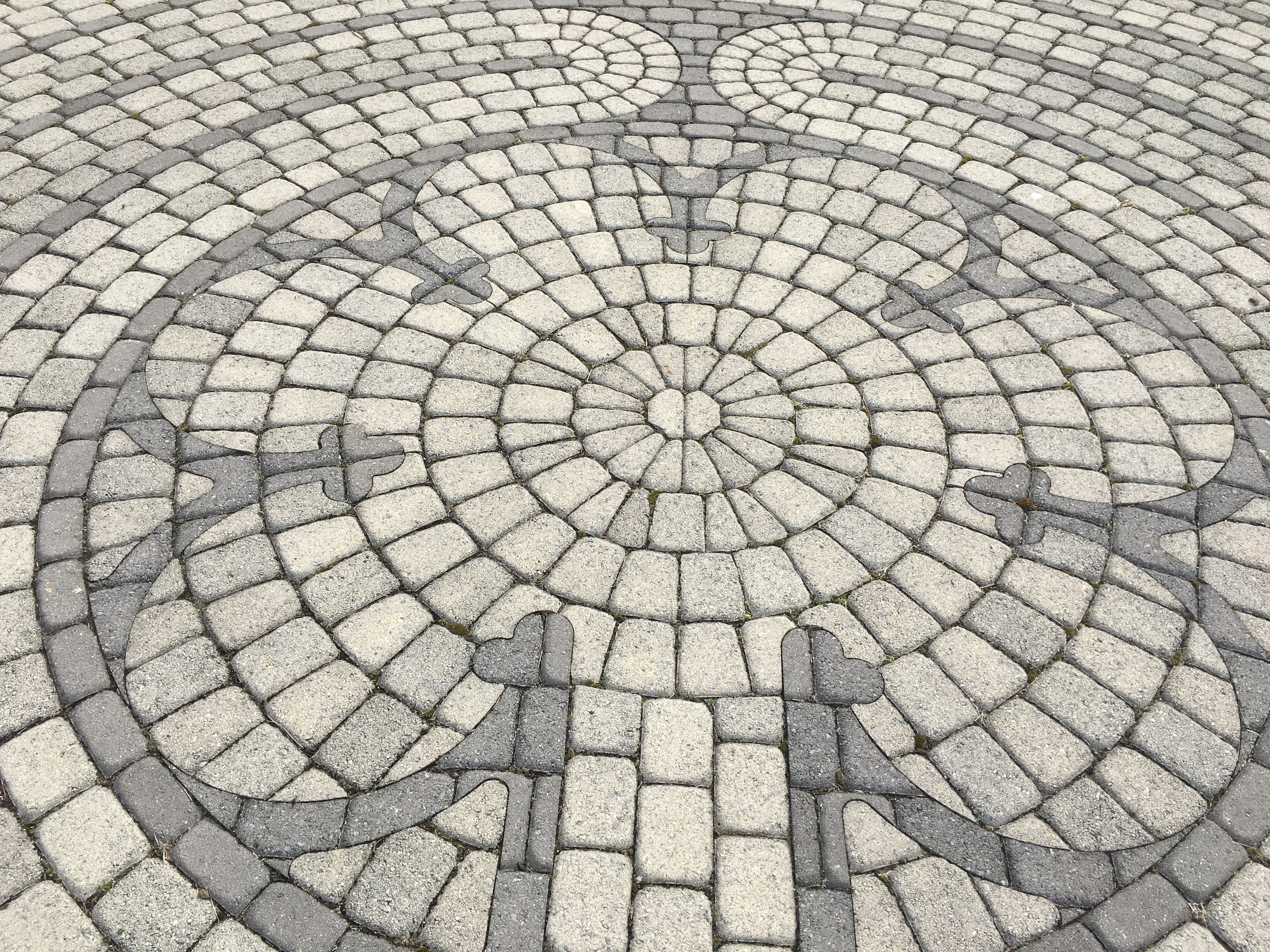 Photo Mar 24, 9 37 37 AM