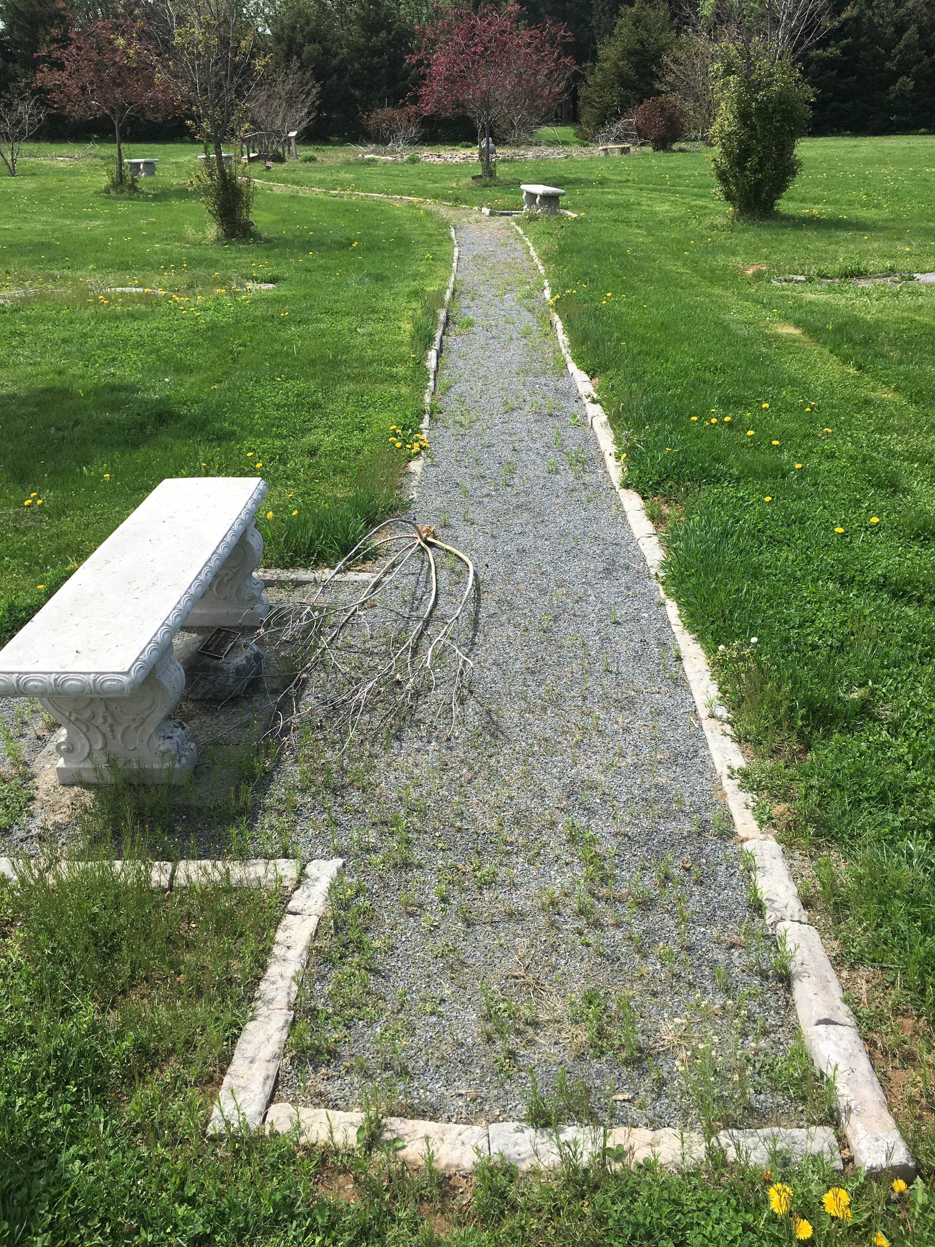 Photo Apr 23, 1 49 04 PM