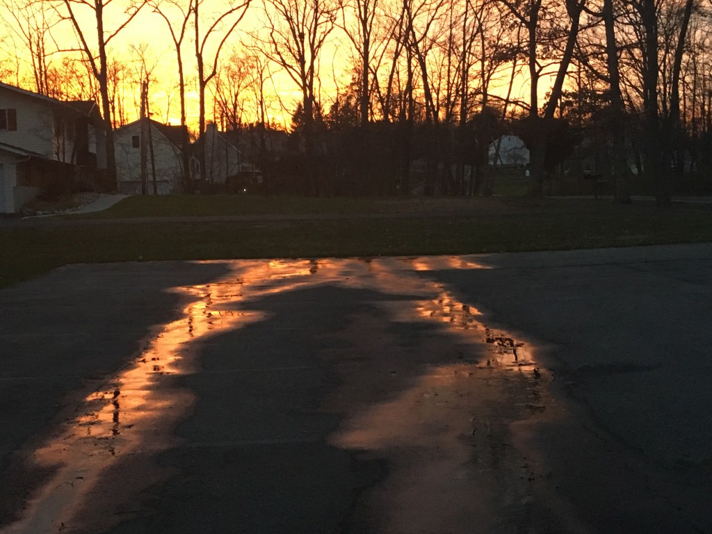 Pinewood Men Double&nbsp;Feature!