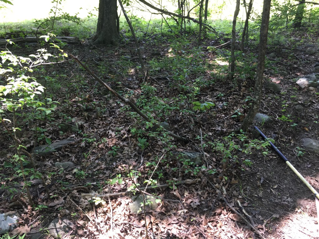 Building a Labyrinth?