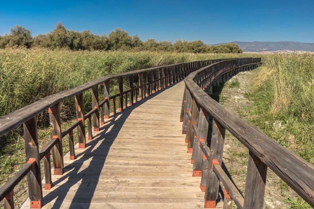 Follow Where Jesus&nbsp;Leads