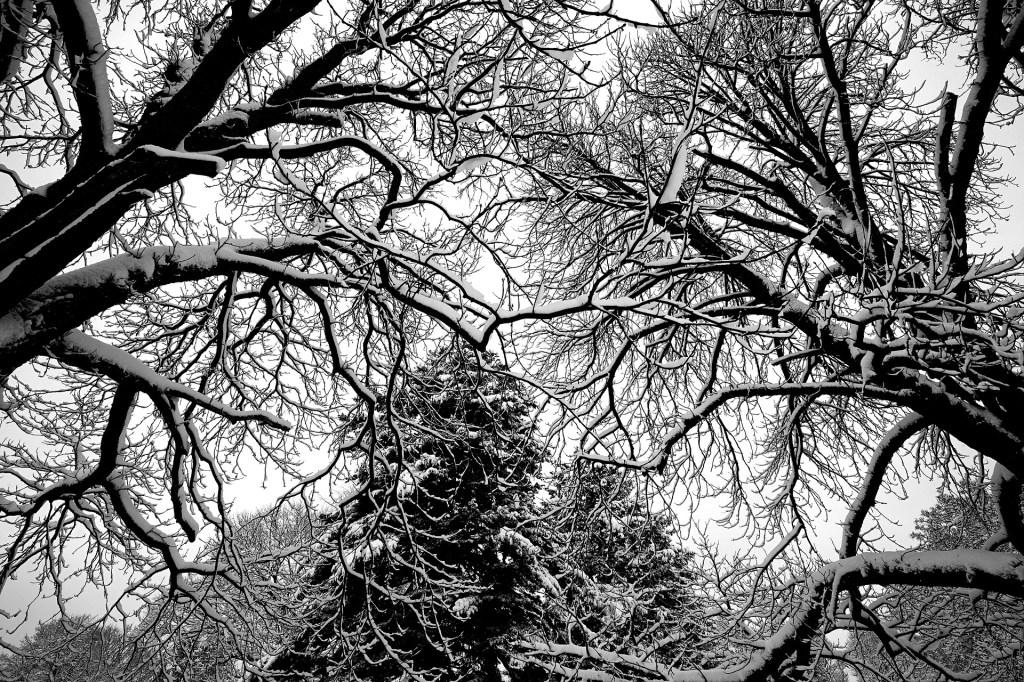 “The Lepers in Your Head” / Chapter Three: The&nbsp;Voice