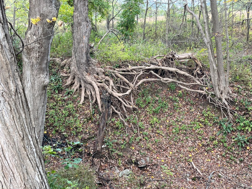 Hopefully It’s Enough